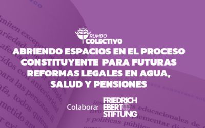 Abriendo espacios en el proceso constituyente para futuras reformas legales en agua, salud y pensiones