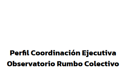 Postula Coordinación ejecutiva Observatorio